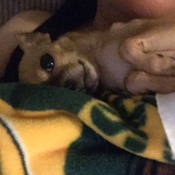 Sale 20% Off Everything Today - Picture 6 of 8